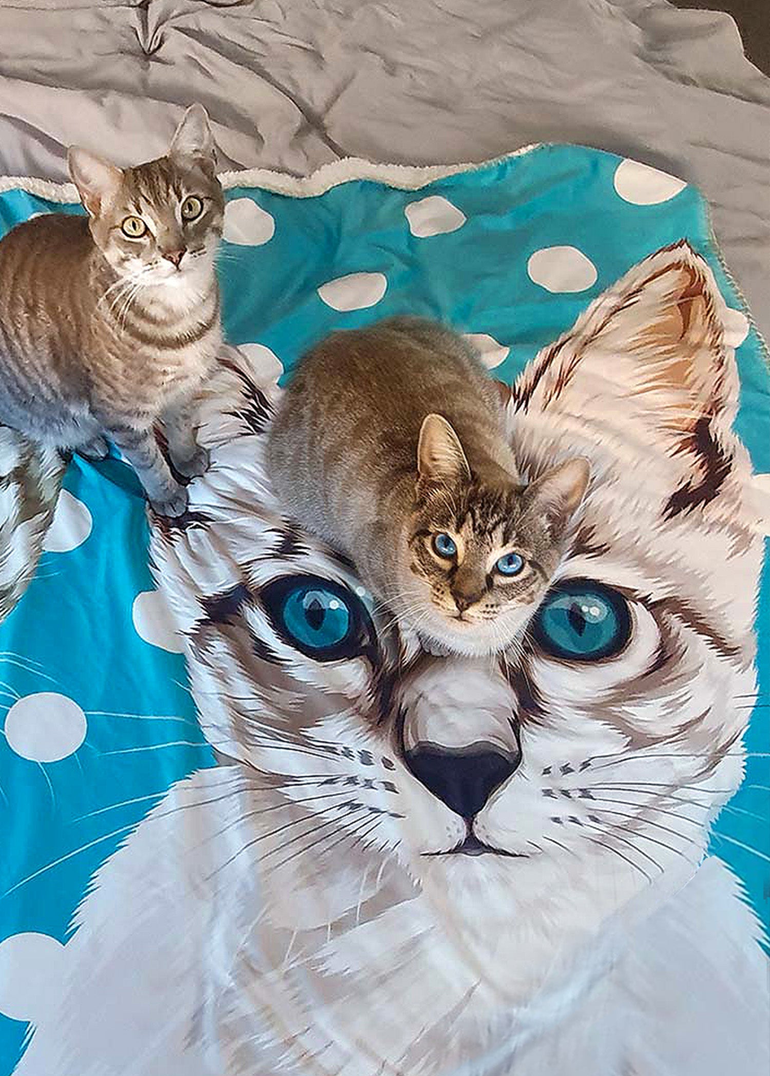Custom Blanket: Orig. Face Art (Dog, Cat, Human Face)